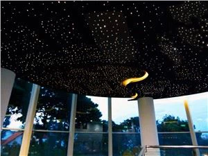 Fiber Optic Stars