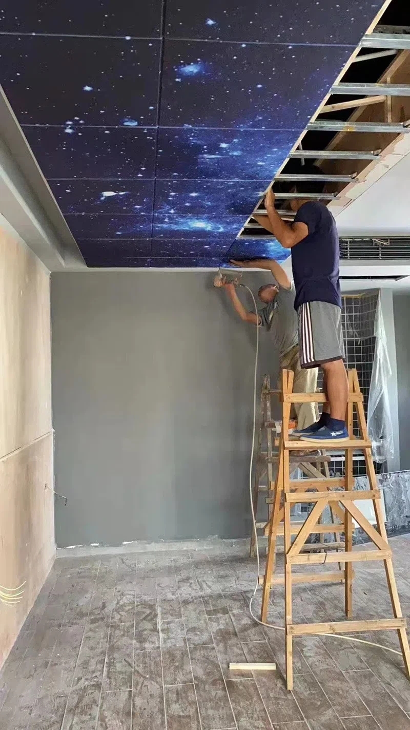 Starry Sky Ceiling Optical Fiber