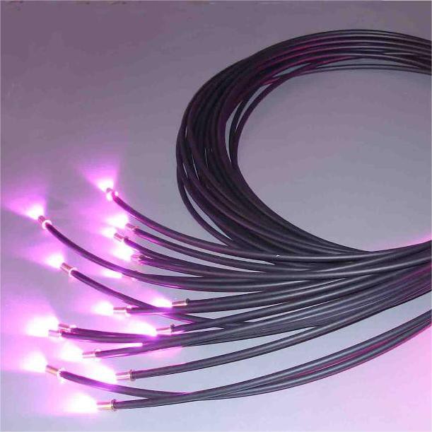 Fiber Optic Pool Light