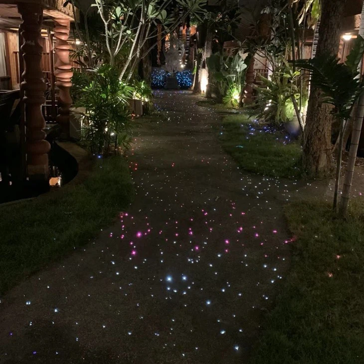 Fiber Optic Pool Light
