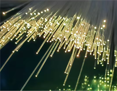 0.5mm Fiber Bundle